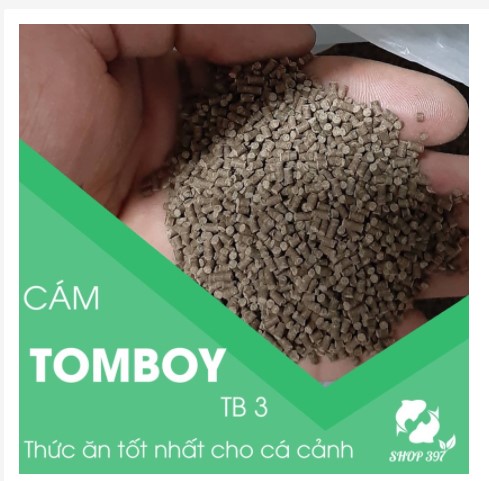Cám tomboy 3
