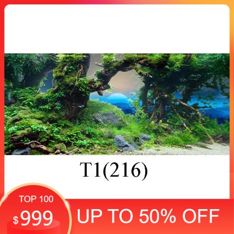 Tranh 3D dán bể cá cảnh hồ thuỷ sinh