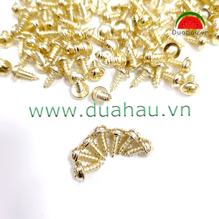 [HCM][1 ký] vít dù 3x10 Mm Đầu + loại 1 Nhập Khẩu