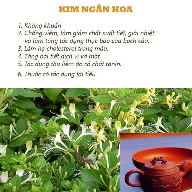 (2TẶNG 1)2 Túi 500g Thảo Mộc KINGTEA 500g