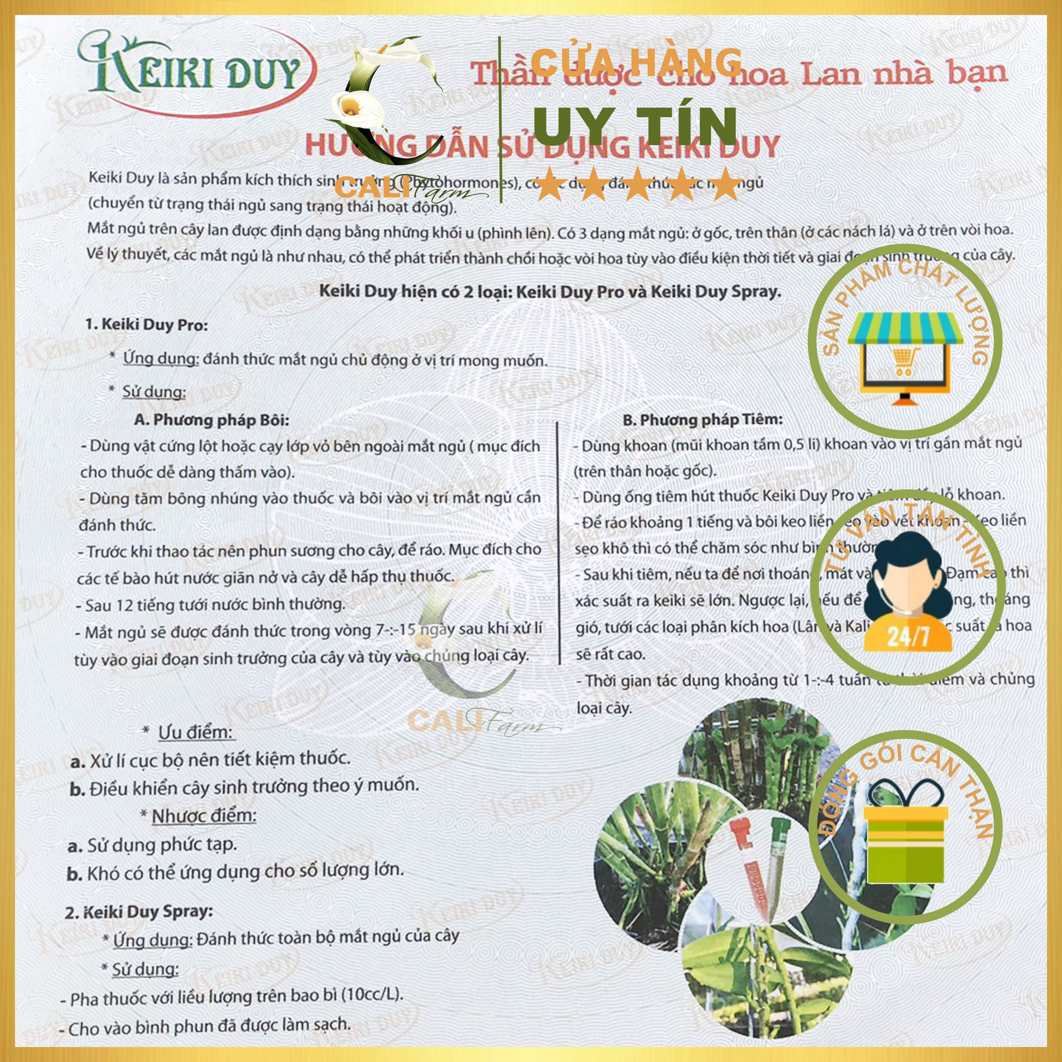 Cặp Keiki Duy Xanh + Đỏ kích mần, kích chồi hoa lan