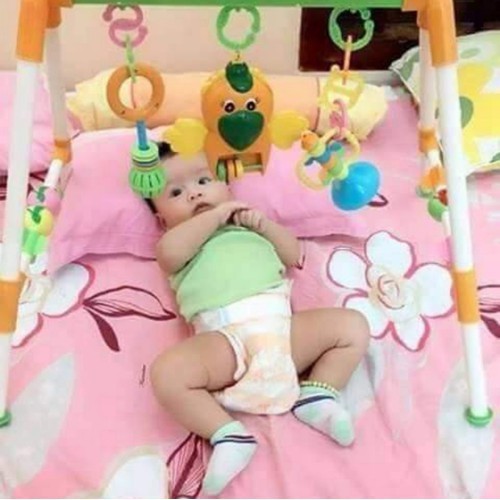KỆ VẸT CHỮ A PHÁT NHẠC CHO BÉ