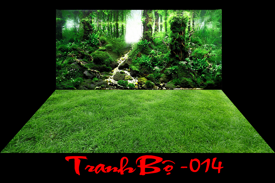 Tranh 3d bể cá 014 bộ Lưng + đáy cho bể kt (60,70,80,1m,1m2,1m5,1m6)