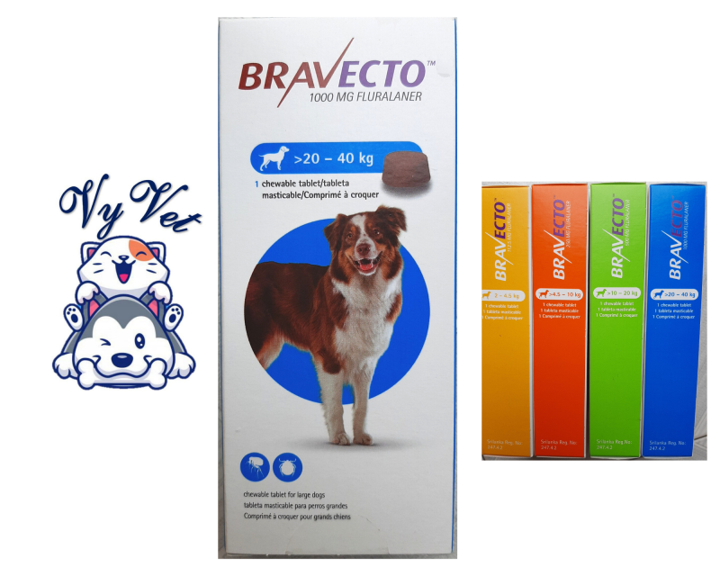 [FREESHIP] Hộp 1 viên BRAVECTO > 20 - 40kg cho chó