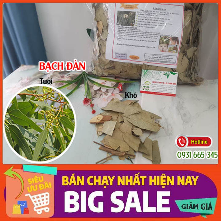 Bạch đàn khô loại cao cấp 100g - thảo dược thanh bình