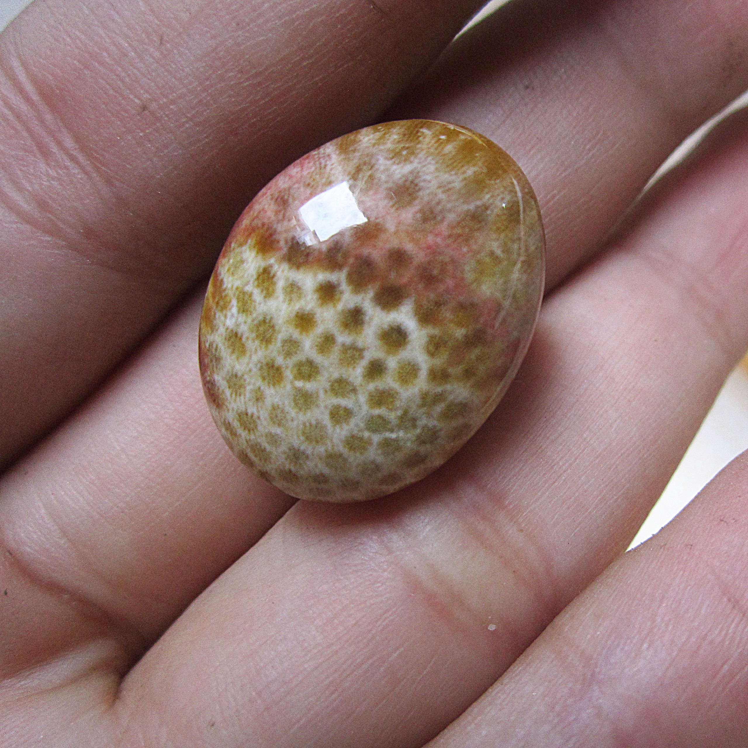 100Gr Đá Hoa Cúc - Coral agate - đá san hô
