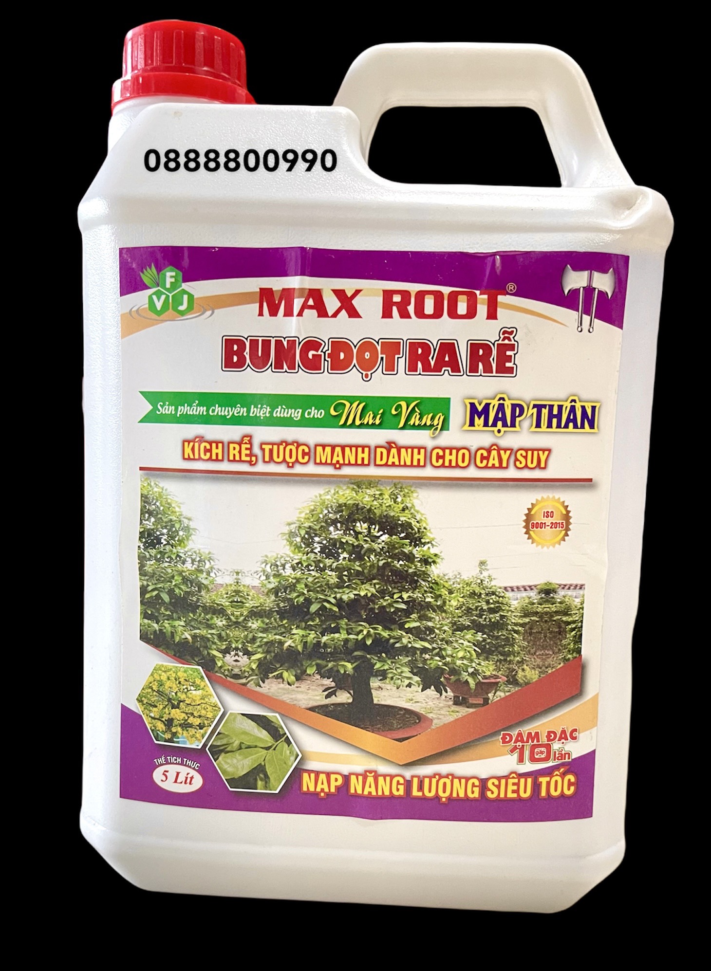 Max root Bung đọt ra rễ chuyên Mai Vàng 500ml, 1Lít, 5lít-