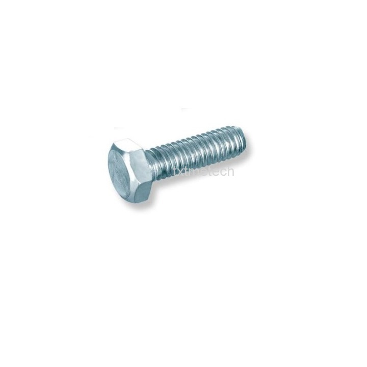 Bulong mạ kẽm M10 (20 con)