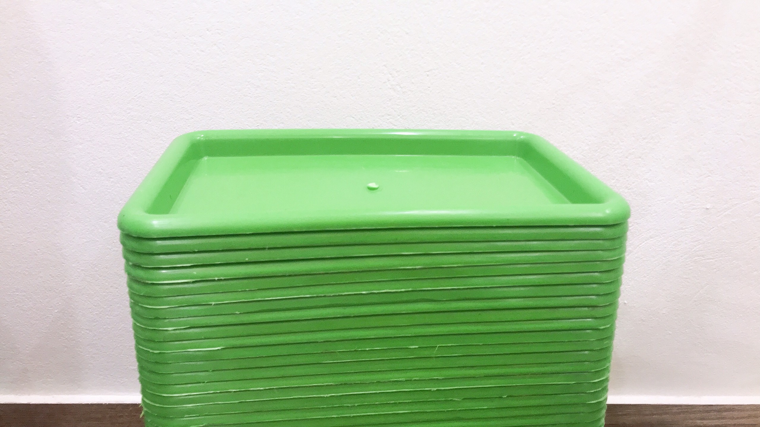 Tray plastic fruit-plastic tray rectangular đựng multifunction fruit