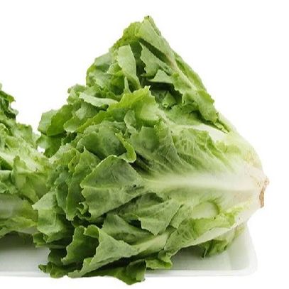 5gr Hạt Giống Xà Lách Carol (217)
