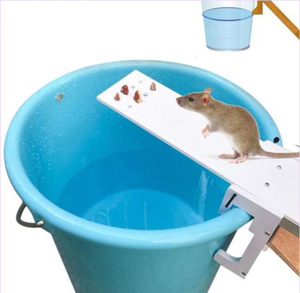 Smart1688  BẪY CHUỘT SIÊU ĐƠN GIẢN MOUSETRAP TECH