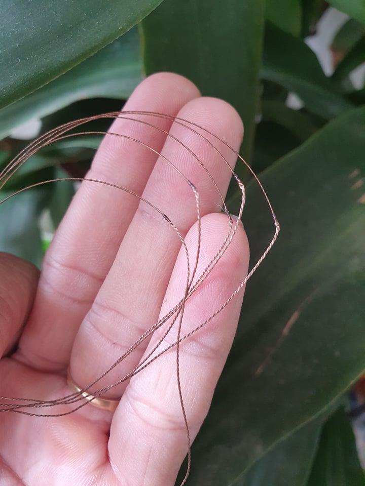 [HCM]Giò bẩy chim cu . Cáp se 7 cao cấp.