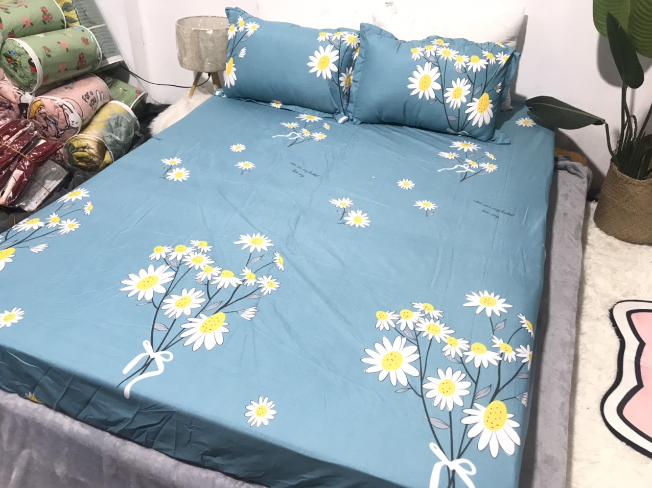 Set Ga Gối 3 Món (Gồm 1 Ga bo chun + 2 Vỏ Gối Nằm) Mẫu Hoa Cúc Xanh CH205