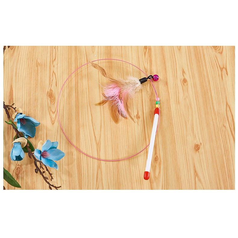 ĐỒ CHƠI CHO MÈO-CẦN CÂU MÈO