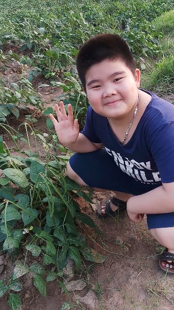 1kg đậu đen sống xanh lòng hạt nhỏ