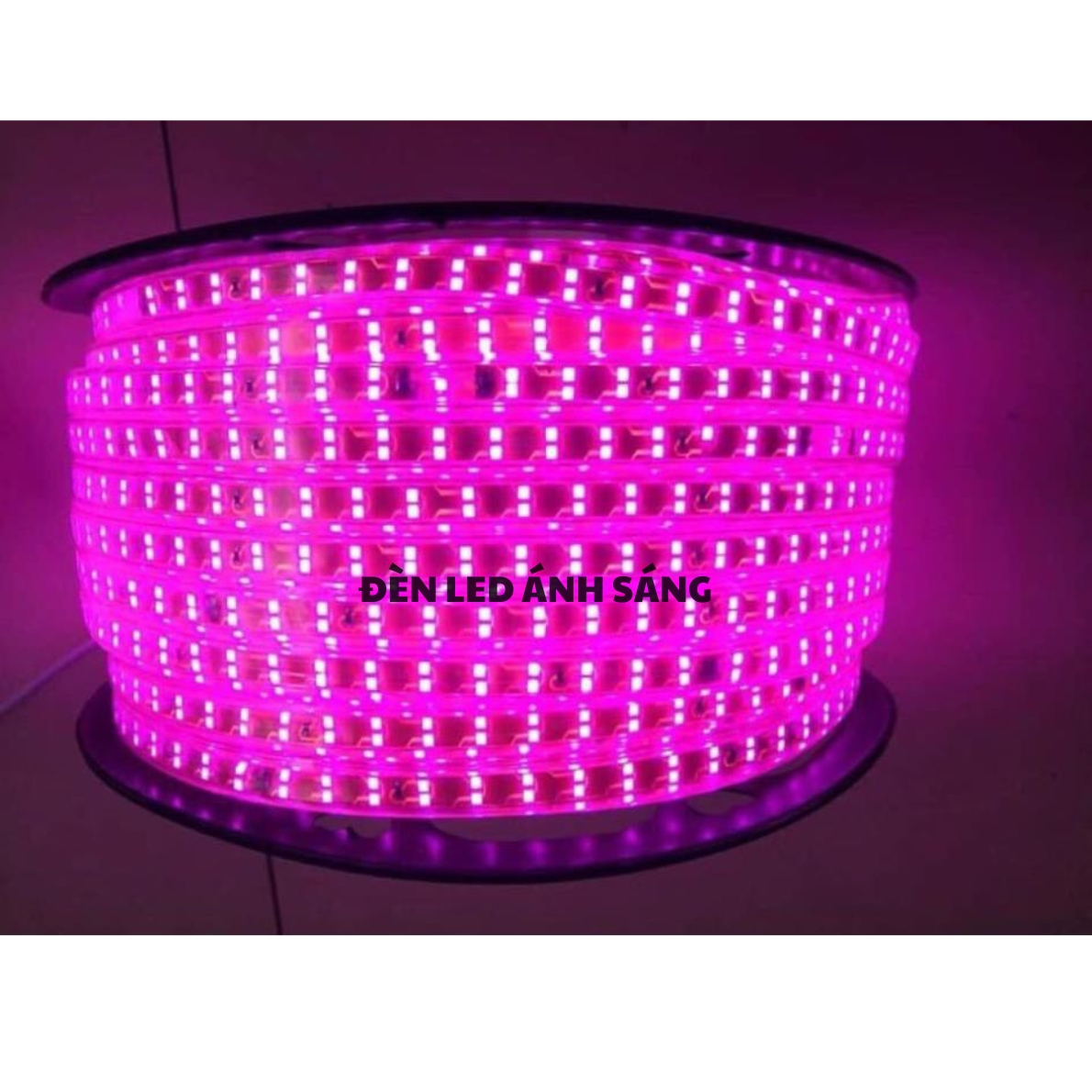 Dây LED đôi 2835 - 2 hàng bóng siêu sáng 5m - 10m