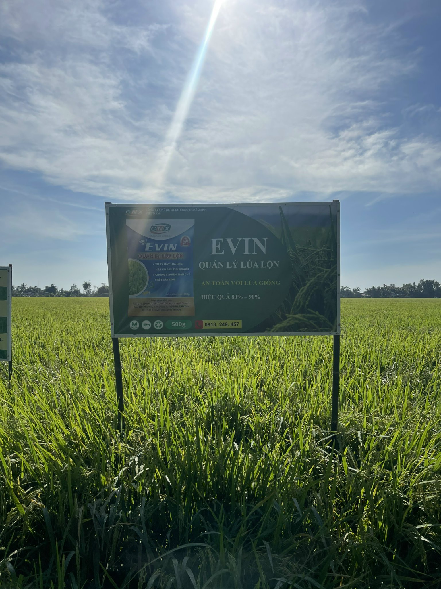 Quản lý lúa lộn Evin