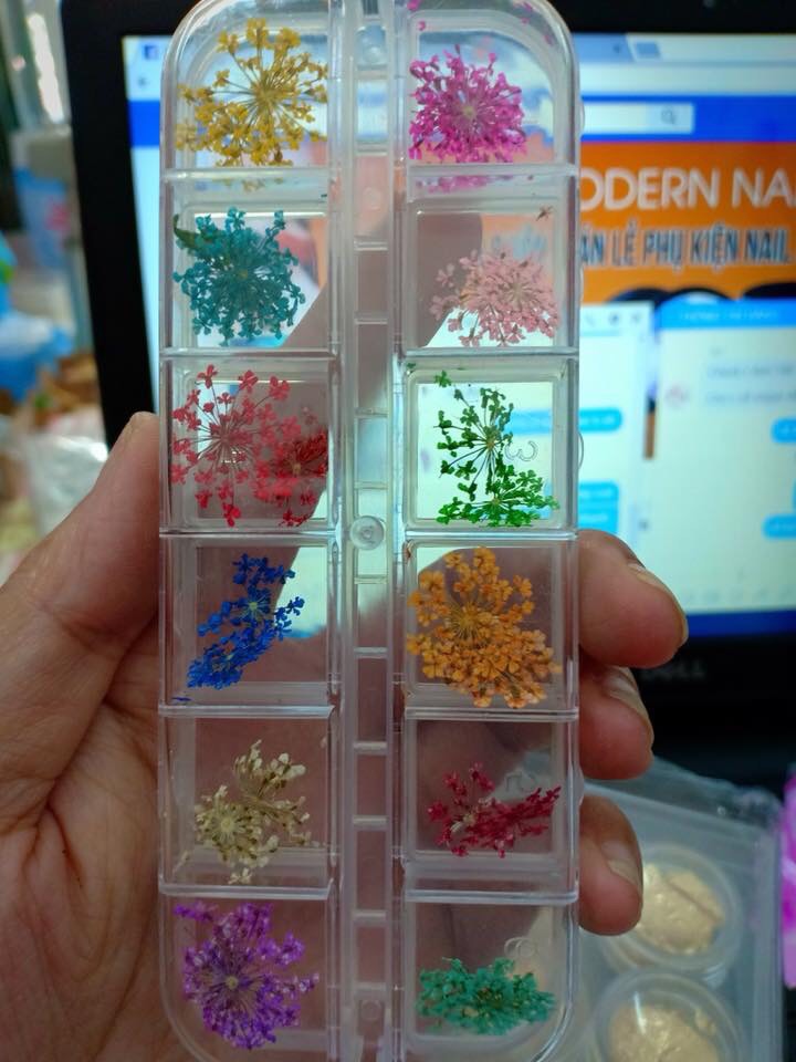 Hoa khô đắp bột,đắp gel ẩn Nail