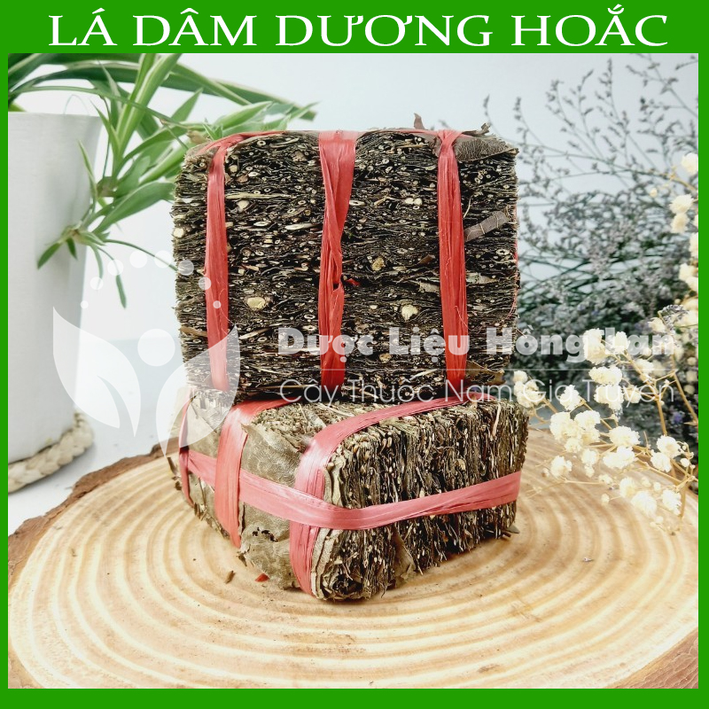 [FreeshipMAX] [HCM]Lá Dâm Dương Hoắc khô 1kg