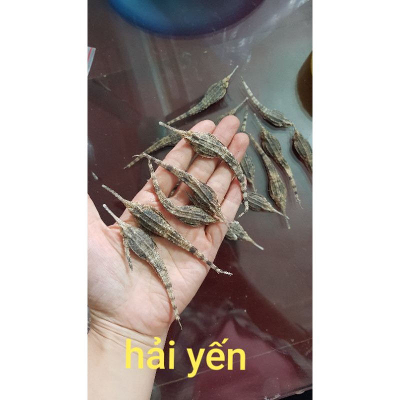 10 con cá hải yến khô