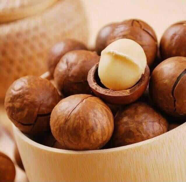 Hạt macca, Mắc Ca Tây Nguyên Sấy Nứt (Có Tặng Dụng Cụ Tách Vỏ)