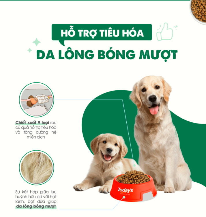 (5kg) Today's Dinner Dog - Thức ăn hạt  cho chó lớn/chó nhỏ/chó mọi lứa tuổi cân bằng dinh dưỡng cho chó nhập khẩu Hàn Quốc
