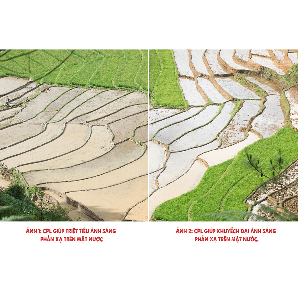 Filter làm mịn da mặt cho máy ảnh DSLR