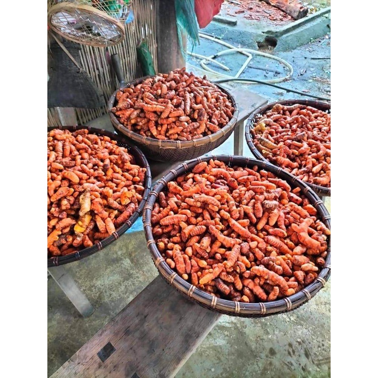 Củ Nghệ Vàng Tươi (Nghệ Ta) 1kg