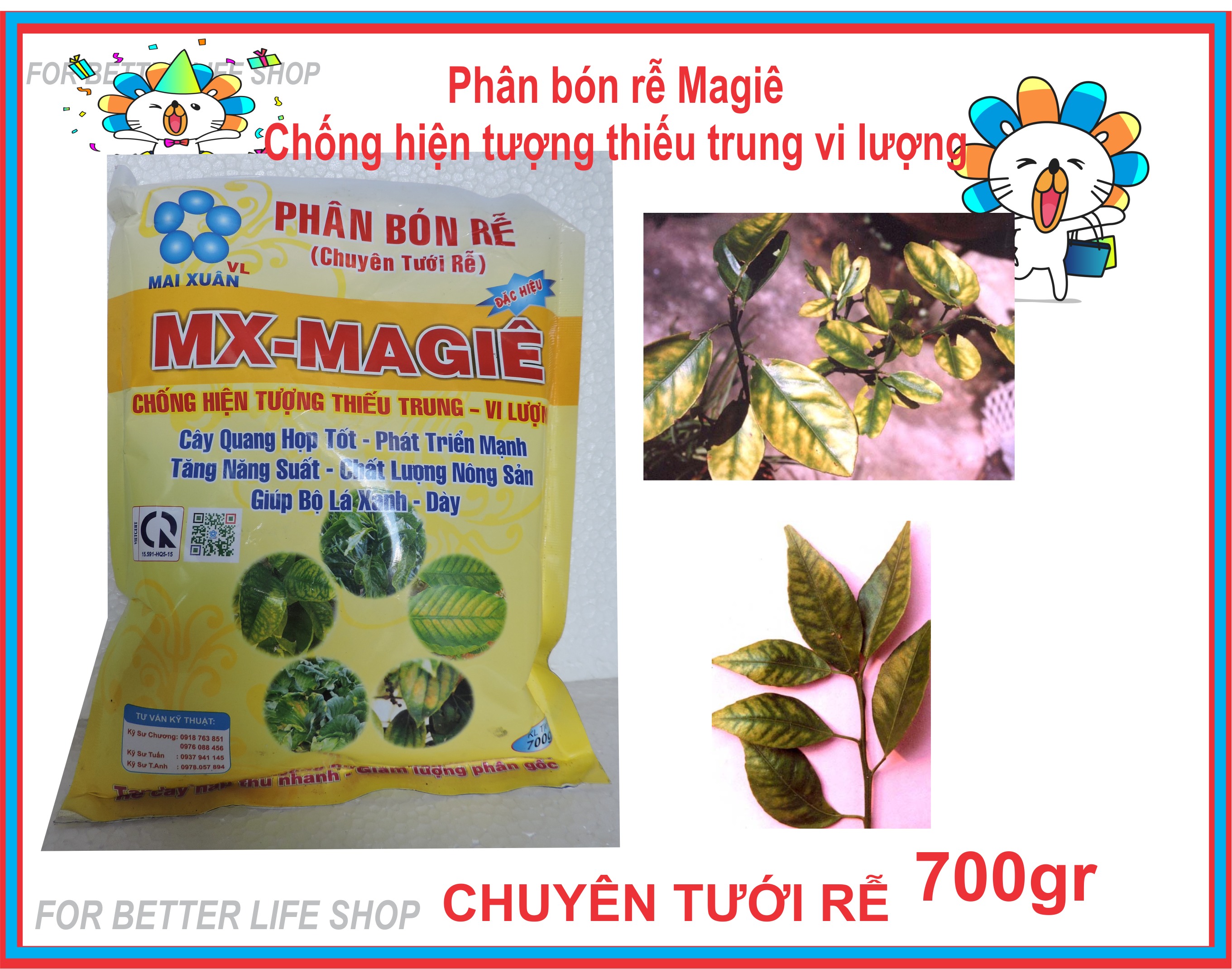 Phân Bón Rễ Vi Lượng  Magie gói 700gr