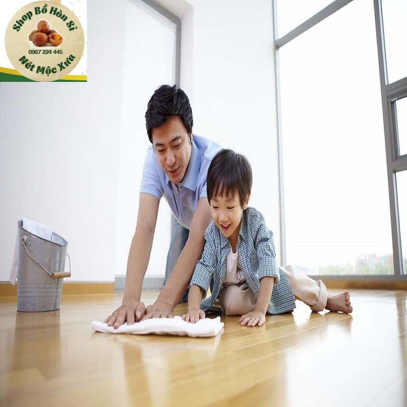 Nước lau sàn Bồ Hòn