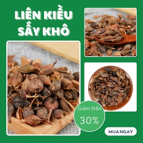 [Hàng mới về] Liên kiều sấy khô 100g (thơm, sạch) - Thảo Dược Tấn Phát - Hỗ trợ thanh nhiệt, lợi tiểu và cường tim