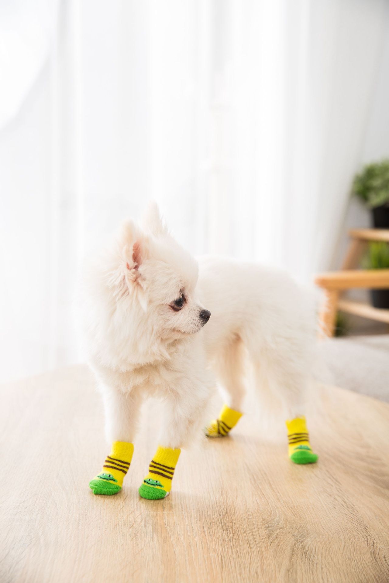 4-Legged Socks Keep Warm and Reduce Foot Dirt for Dogs and Cats -T3 Pets Shop