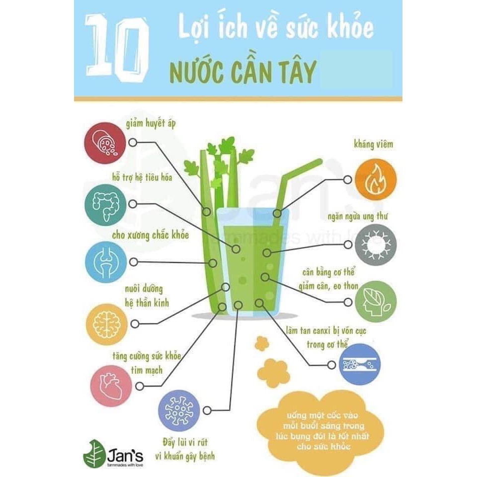 TINH CHẤT CẦN TÂY NANO SLIM DETOX HOGI