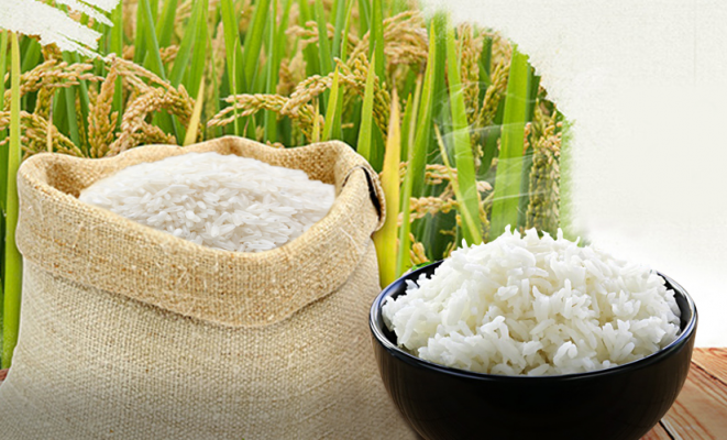 Gạo Hương Lài Túi 5ký Dẻo Mềm Cơm