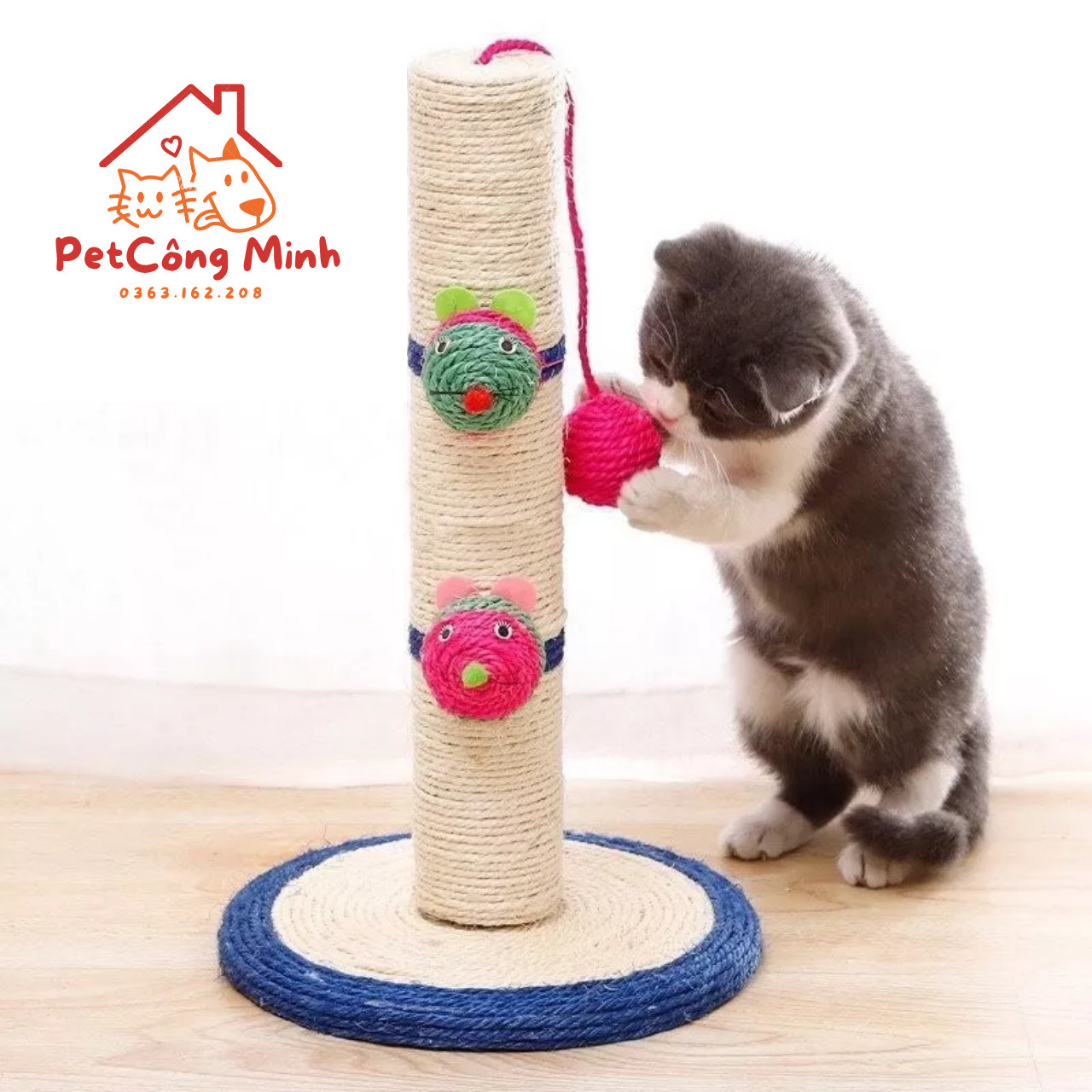 Cat scratch board posts
