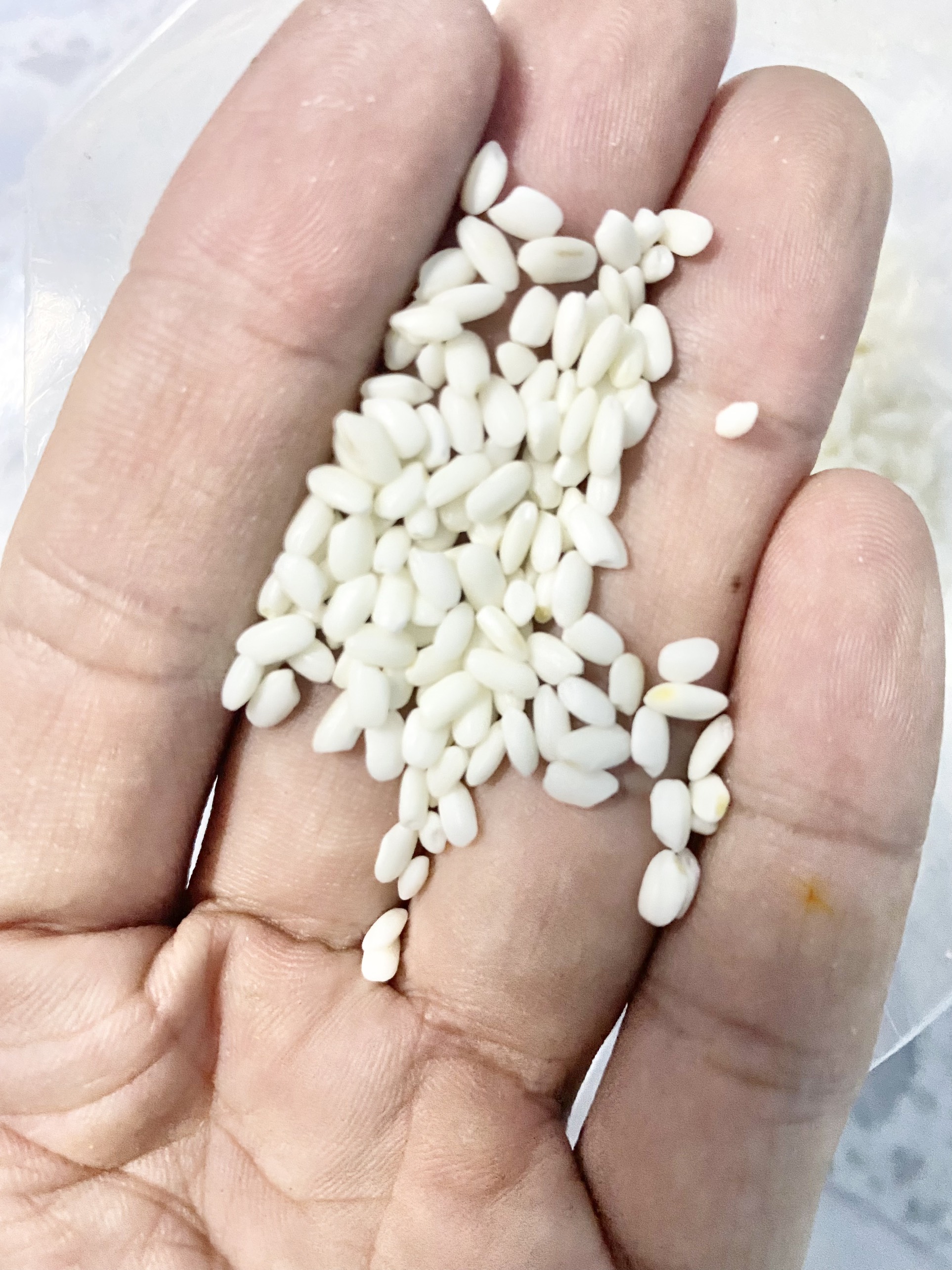 Nếp cái hoa vàng 1kg