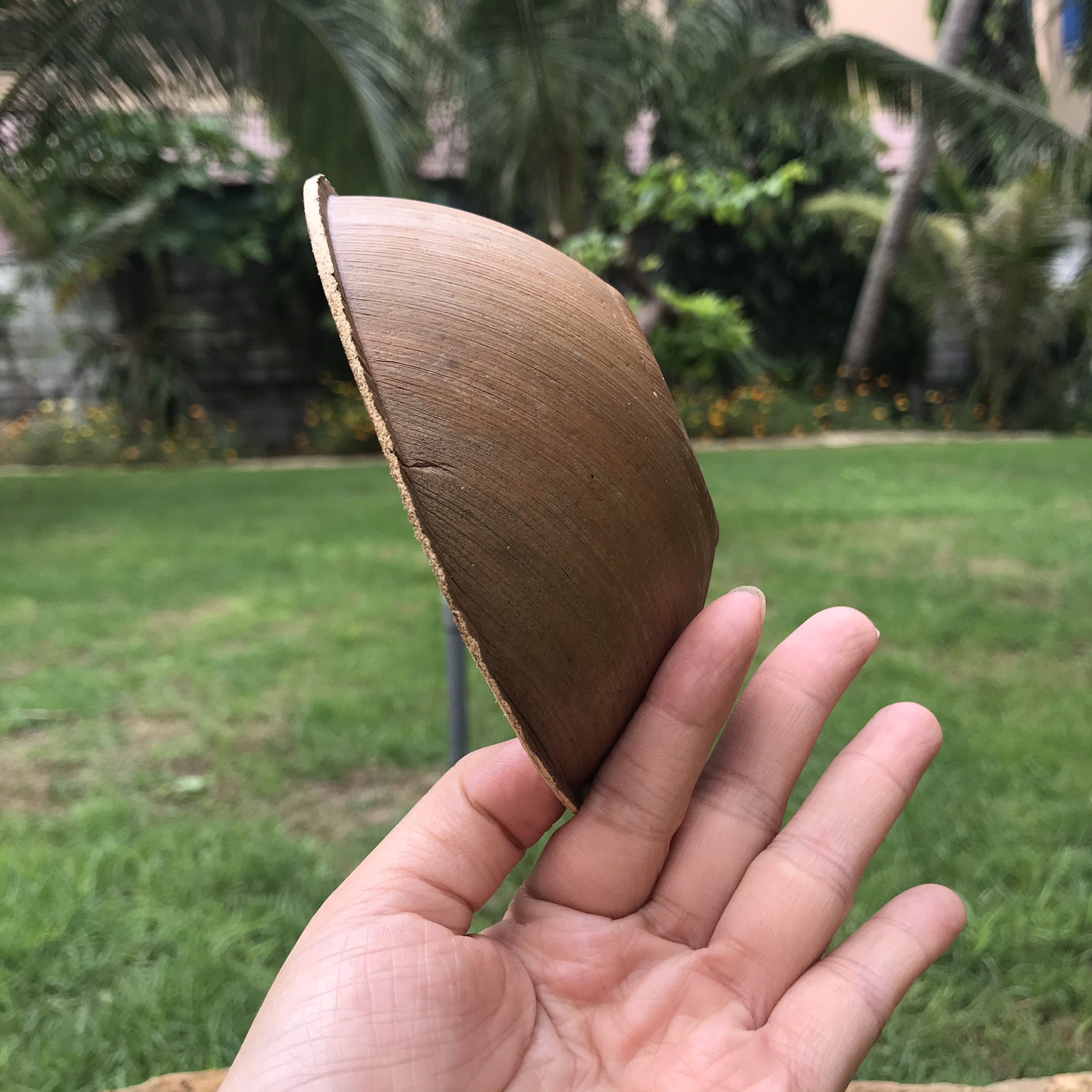 COMBO TIỆN LỢI : CHÉN DĨA MO CAU ĐẸP