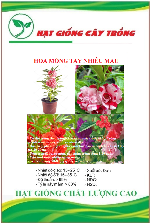 Hạt giống hoa móng tay kép nhiều màu ct451 - gói 50 hạt