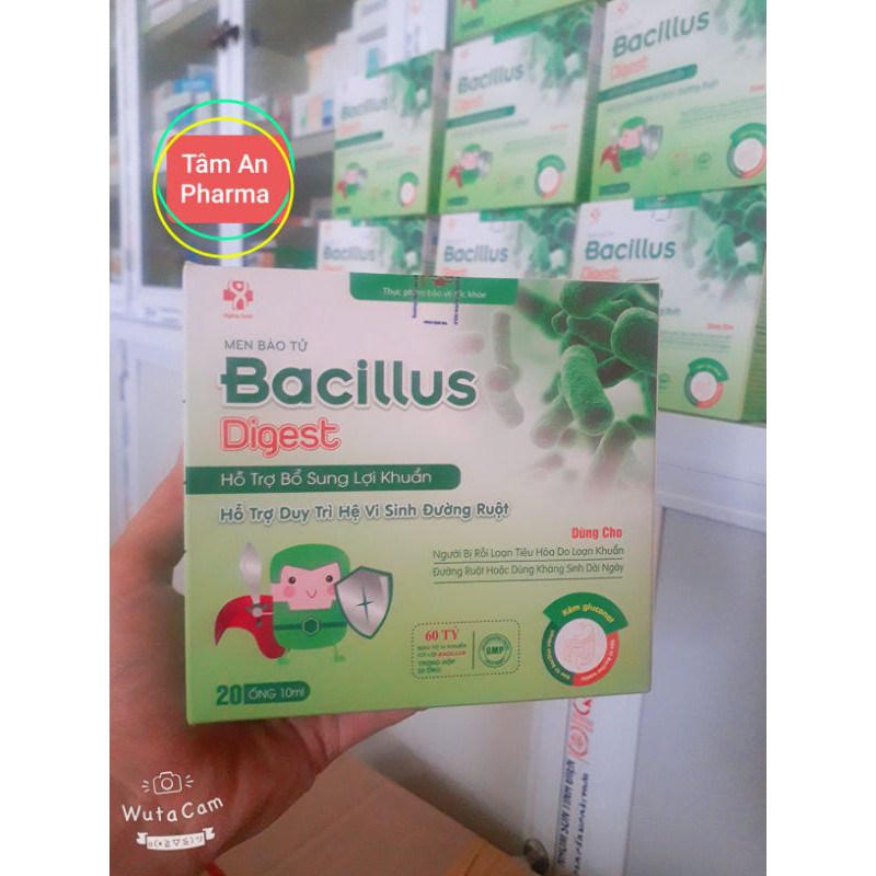 Men vi sinh Bacillus Digest bổ sung bào tử lợi khuẩn đường ruột