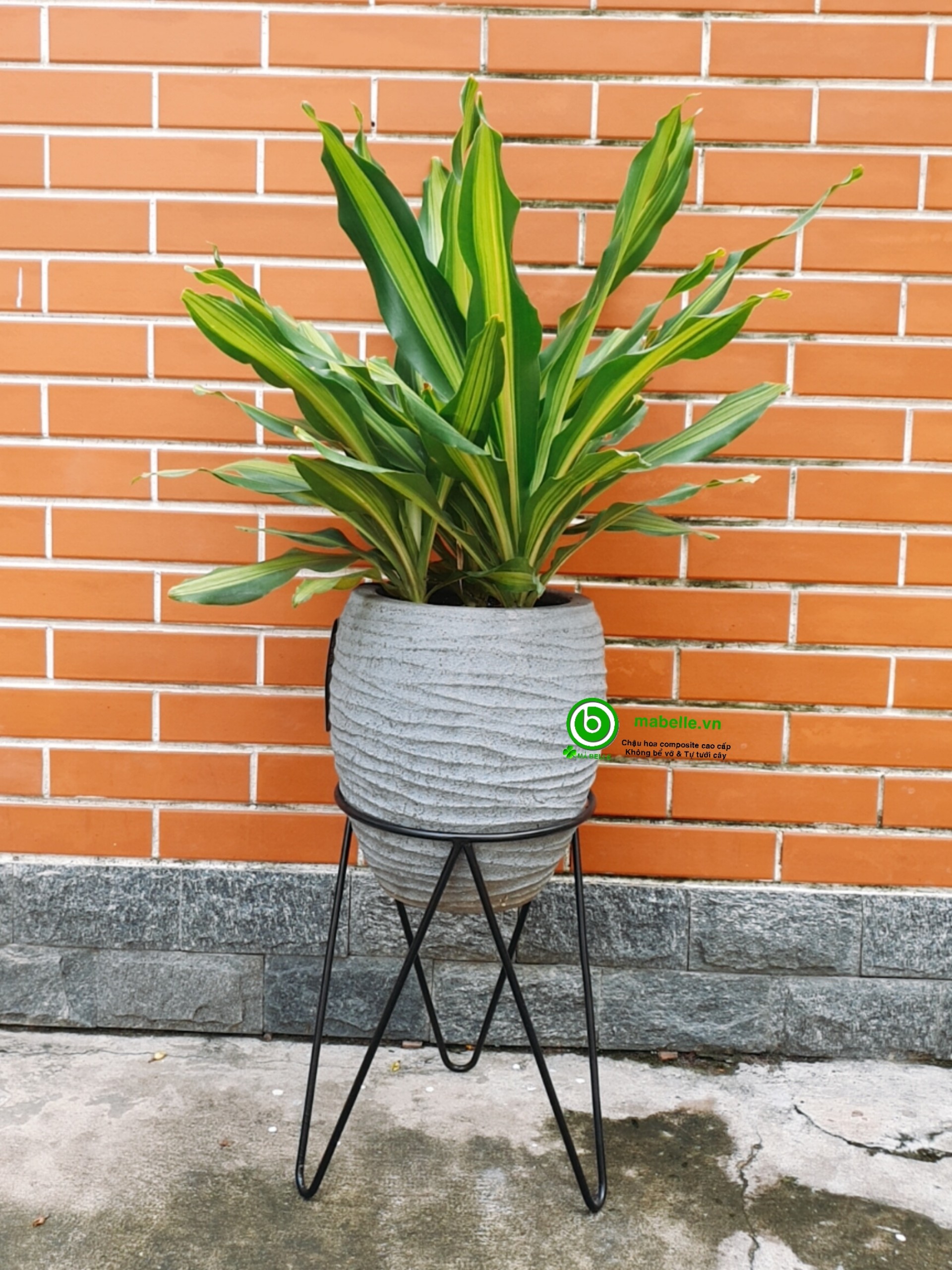 [HCM]Đôn kê chậu cây sắt 3 chân C40cm