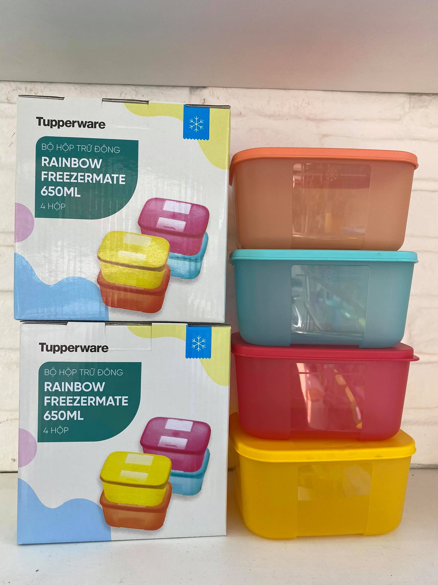 Tupperware chính hãng - Bộ hộp trữ đông Rainbow Tupperware (4 hộp)