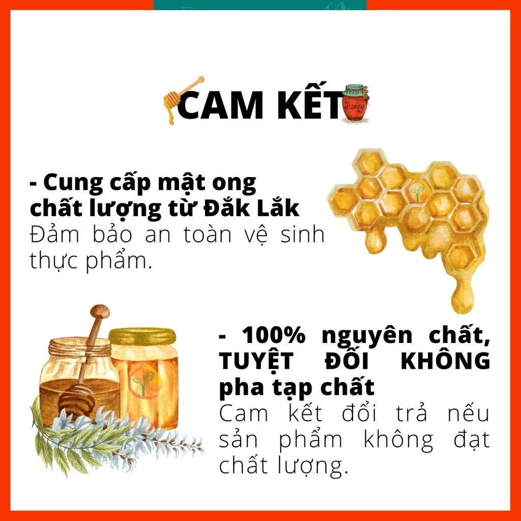 Mật ong hoa cà phê thượng hạng Let's Nuts chai 1 lít