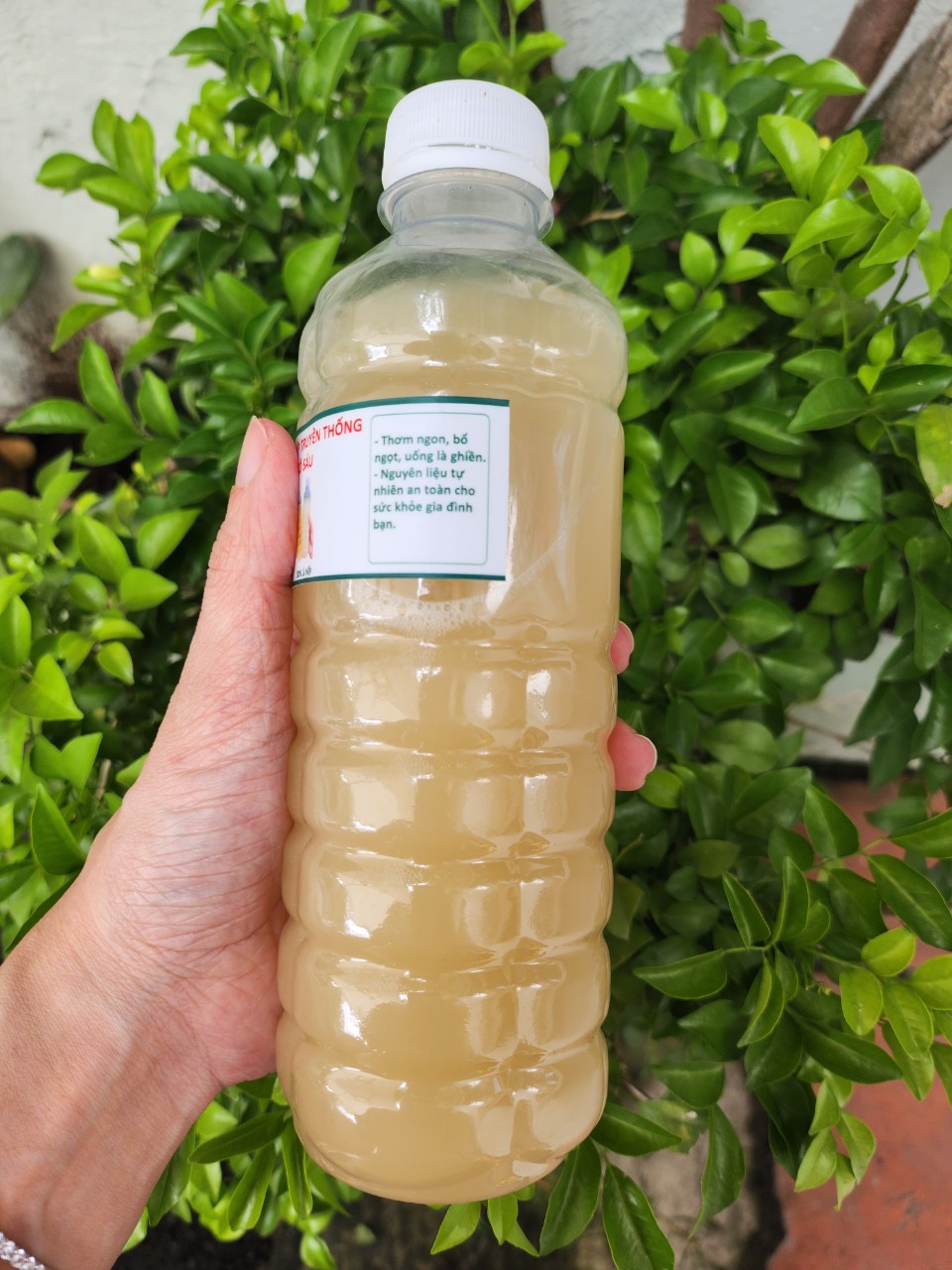 Traditional Fermented Nep Le Wine