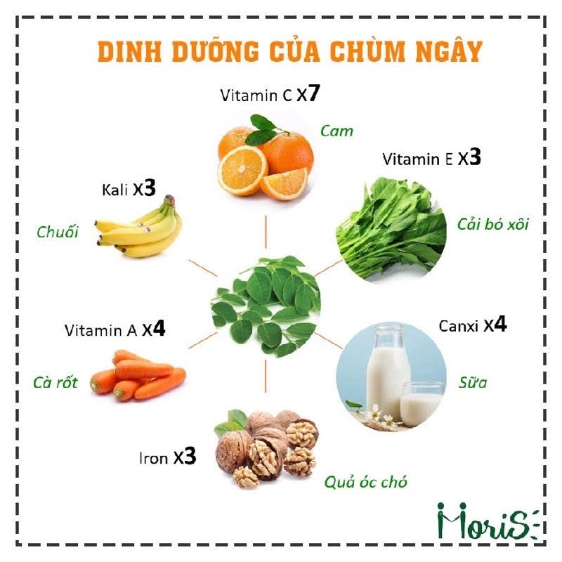 Bột chùm ngây hữu cơ sấy lạnh Moris 100g