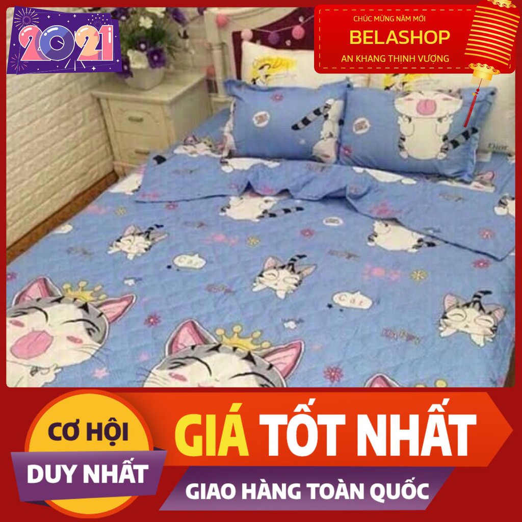 Ga bọc đệm cotton poly 1m2 mèo xanh