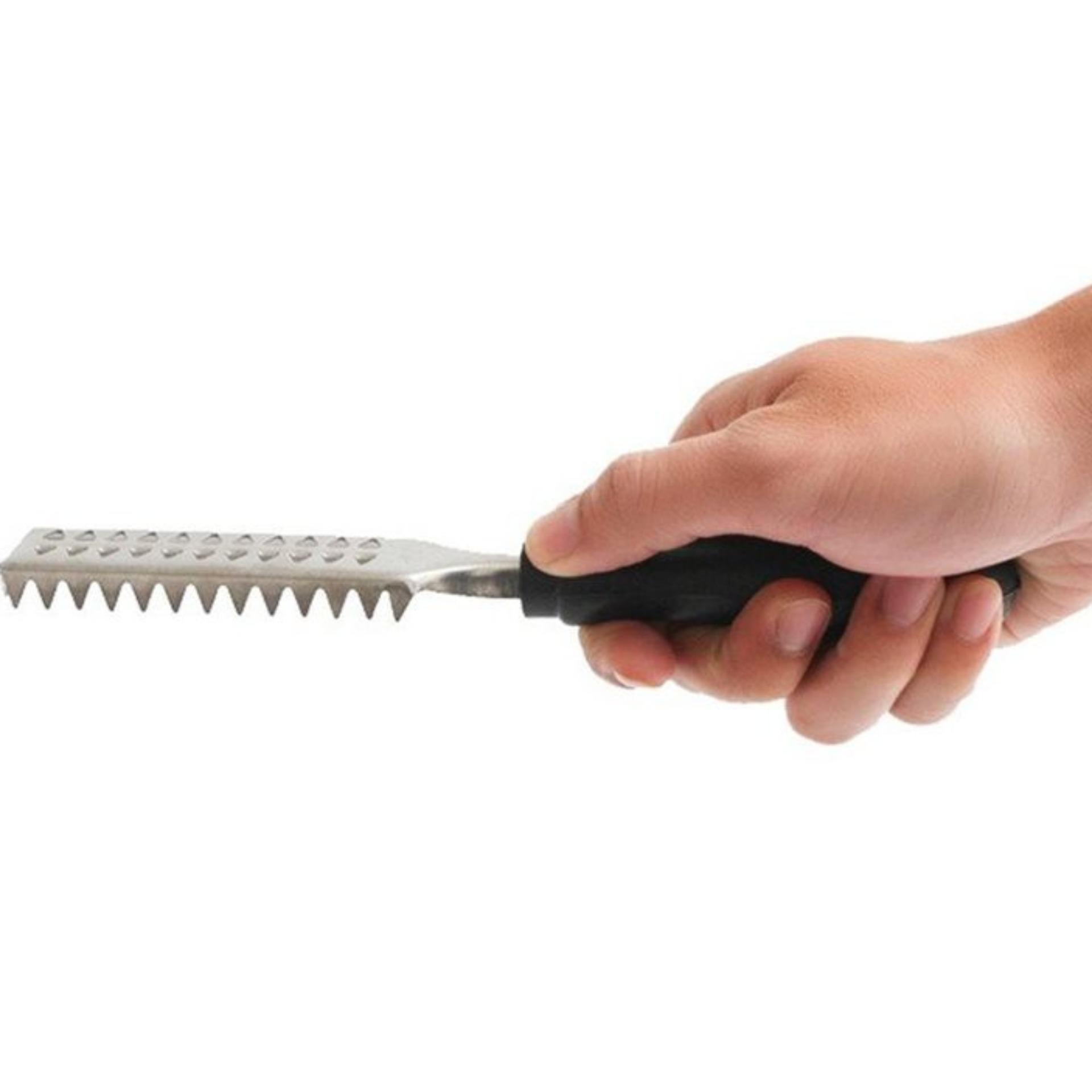 Dụng cụ đánh vảy cá inox dragon