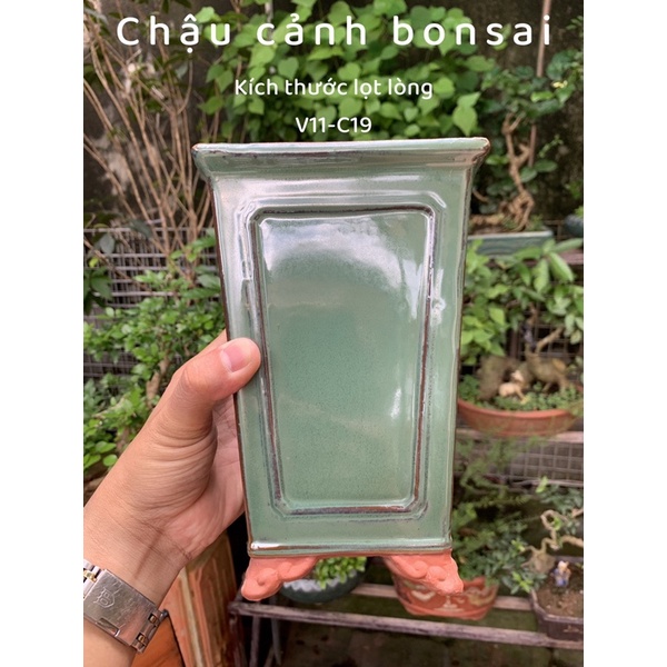 Chậu vuông cao- Chậu trồng cây bonsai - chậu trồng sen đá - chậu cảnh bonsai