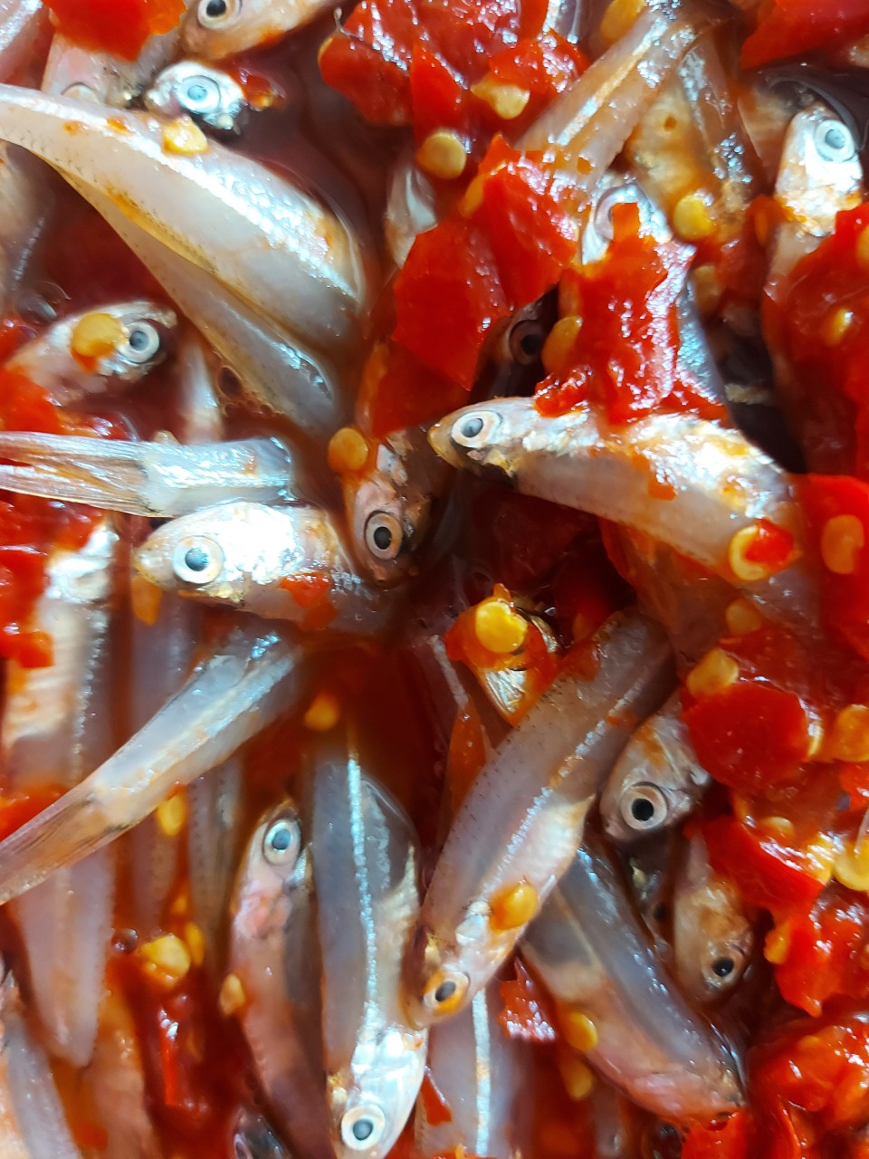 Mắm cá cơm xổi Huế