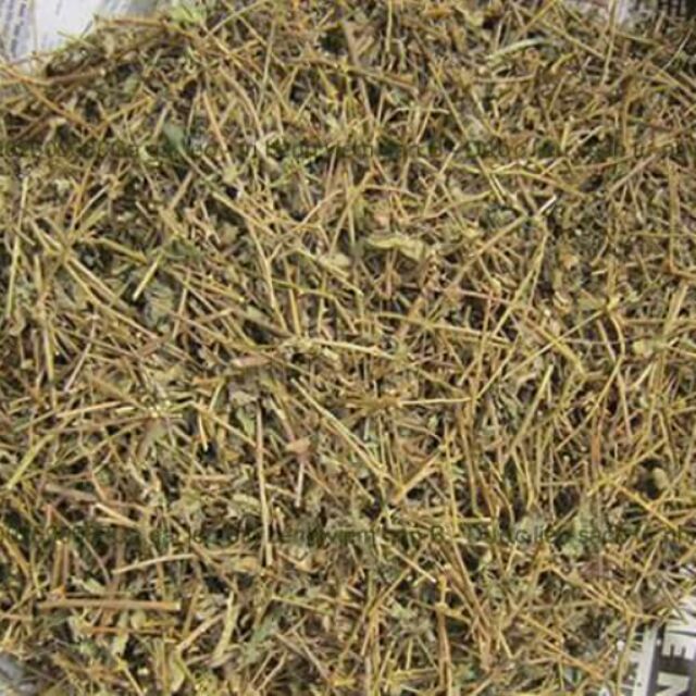 Cà gai leo khô đóng túi 1kg