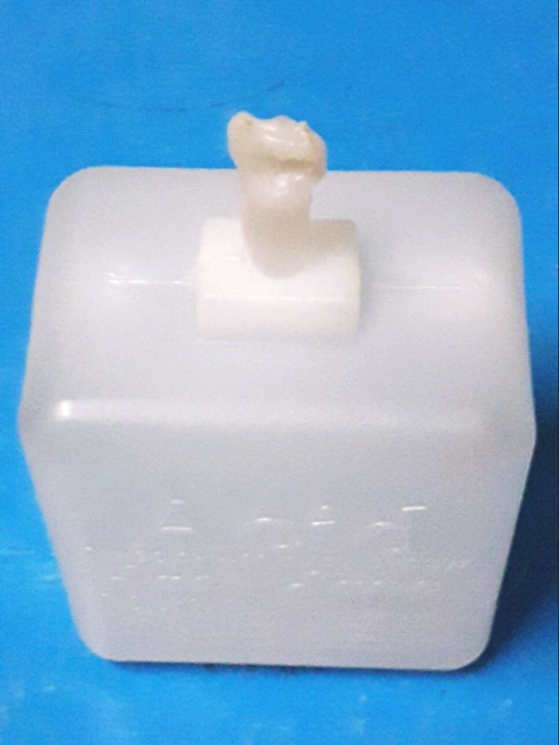 [HCM]NƯỚC CHÂM BÌNH ẮC QUY .200ML x10 BÌNH
